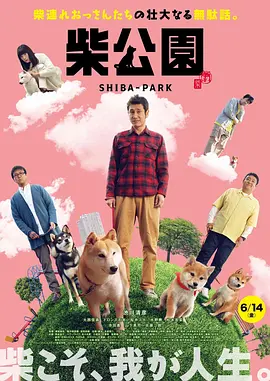成年午夜在线观看