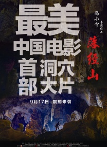 野战在线