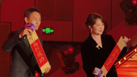成人精品一区二区激情