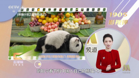 筱惠美